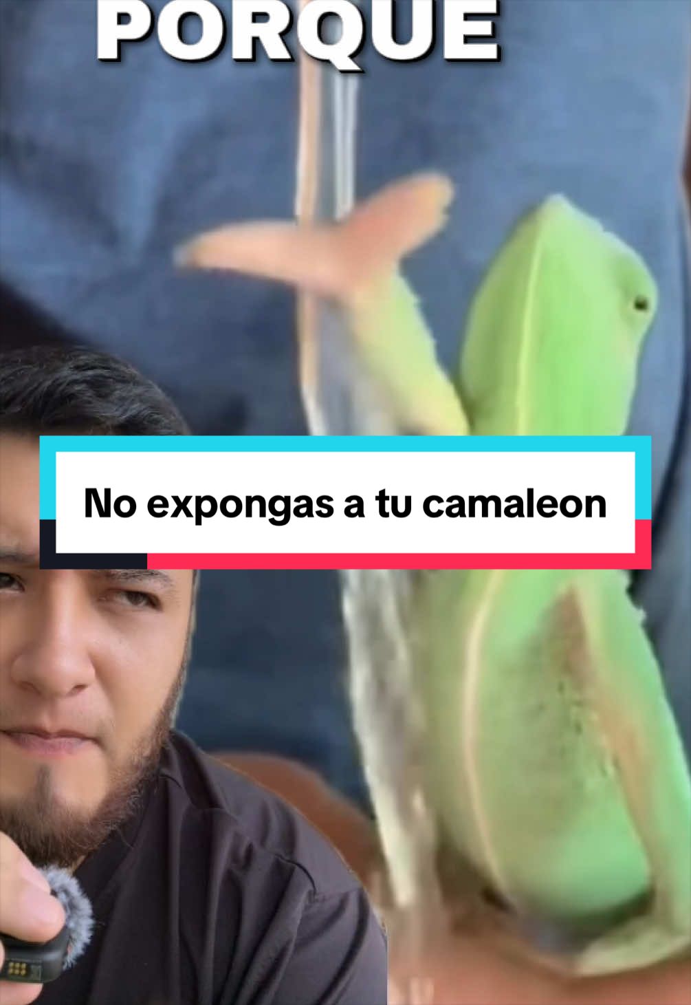 @ReptilMania