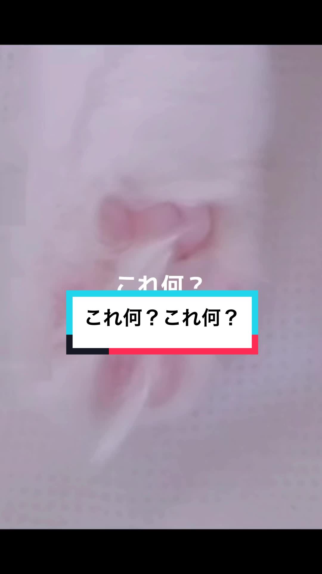 @ふたばꕤ︎︎