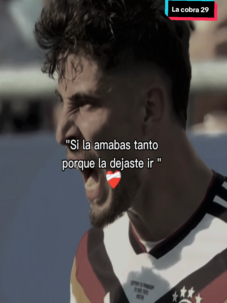 @🏆⚽La cobra 29⚽🏆