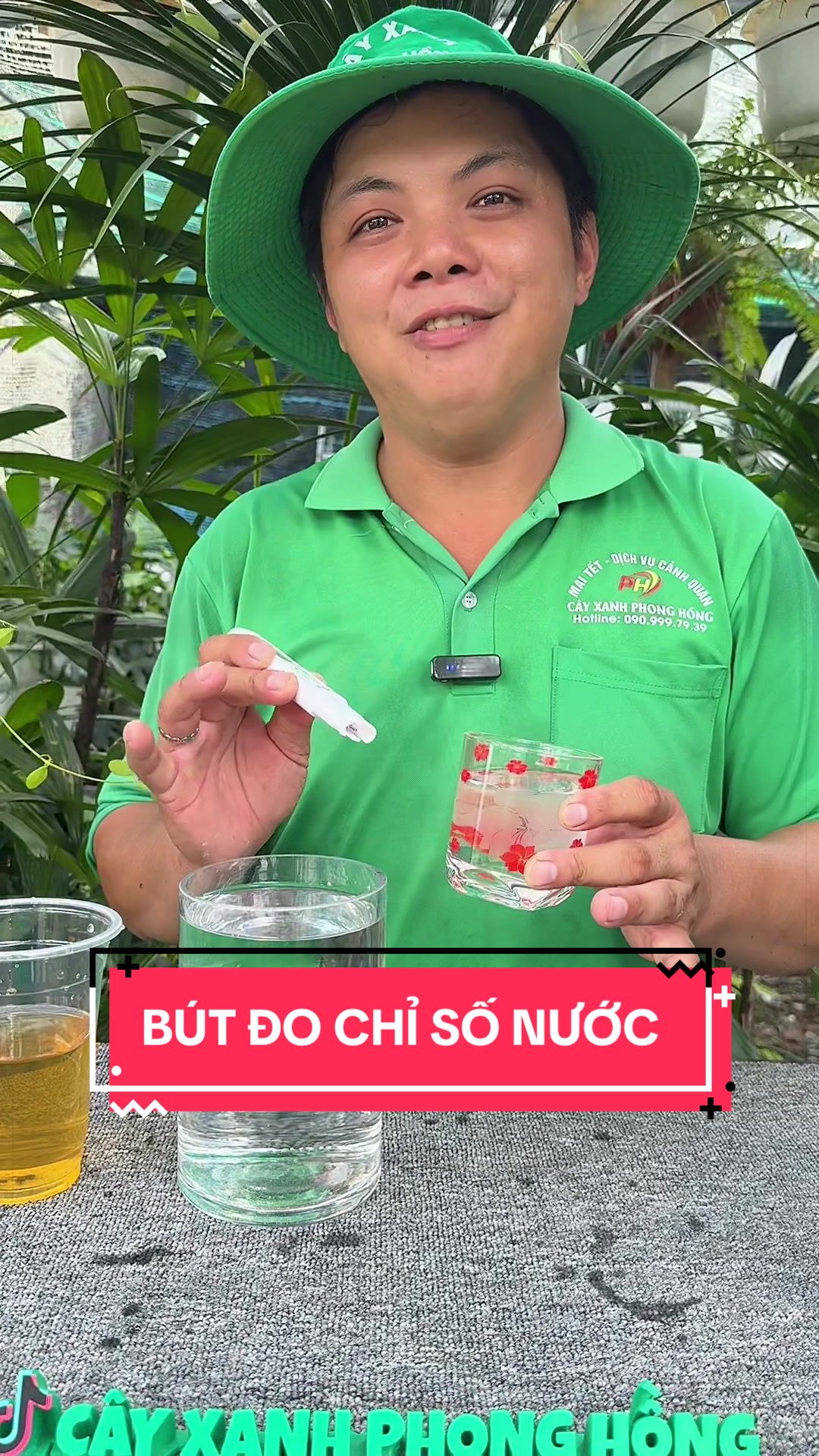 @Cây Xanh Phong Hồng
