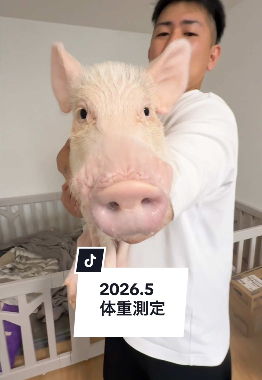 @めんべぇ家🐽💢