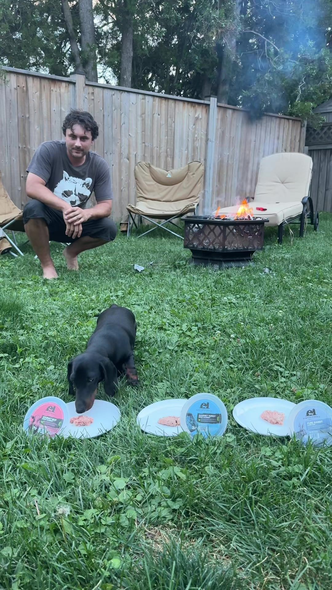@olive the mini dachshund
