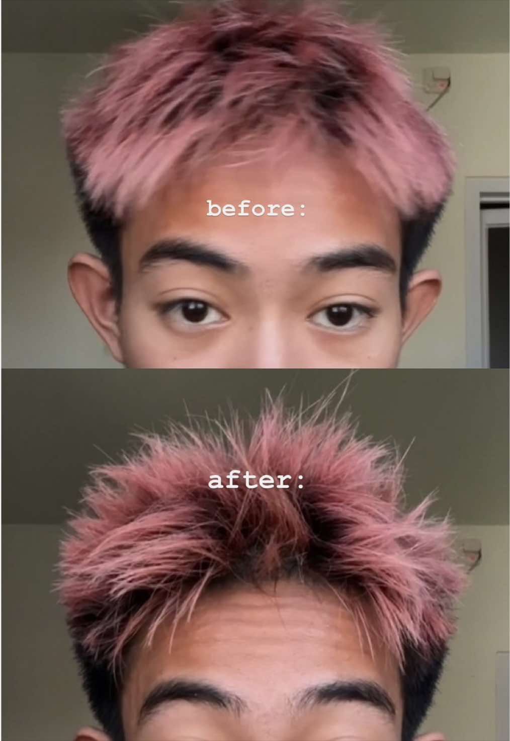 @𝕽𝖆𝖓𝖈𝖍𝖆