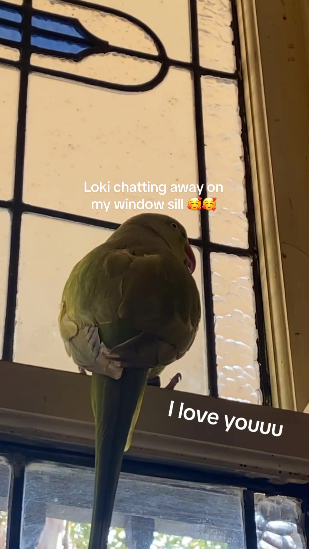 @millieandloki