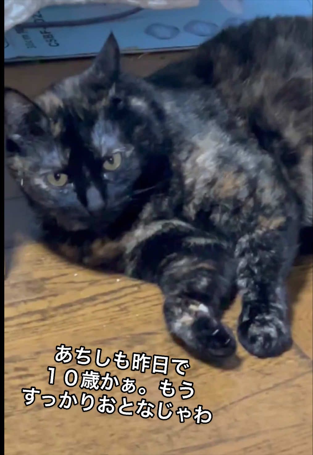 @聴々物語PROJECT