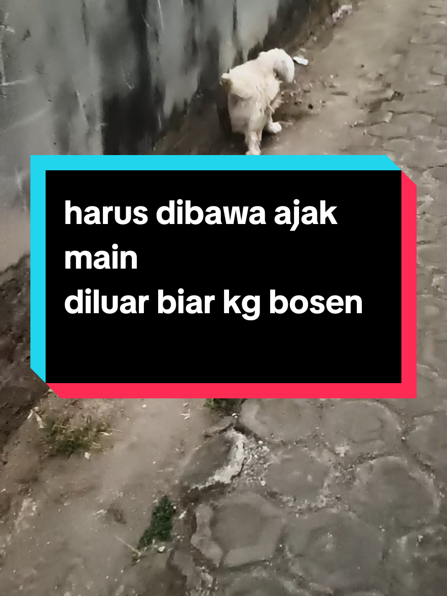 @Sarah Purnama ❤️❤️❤️