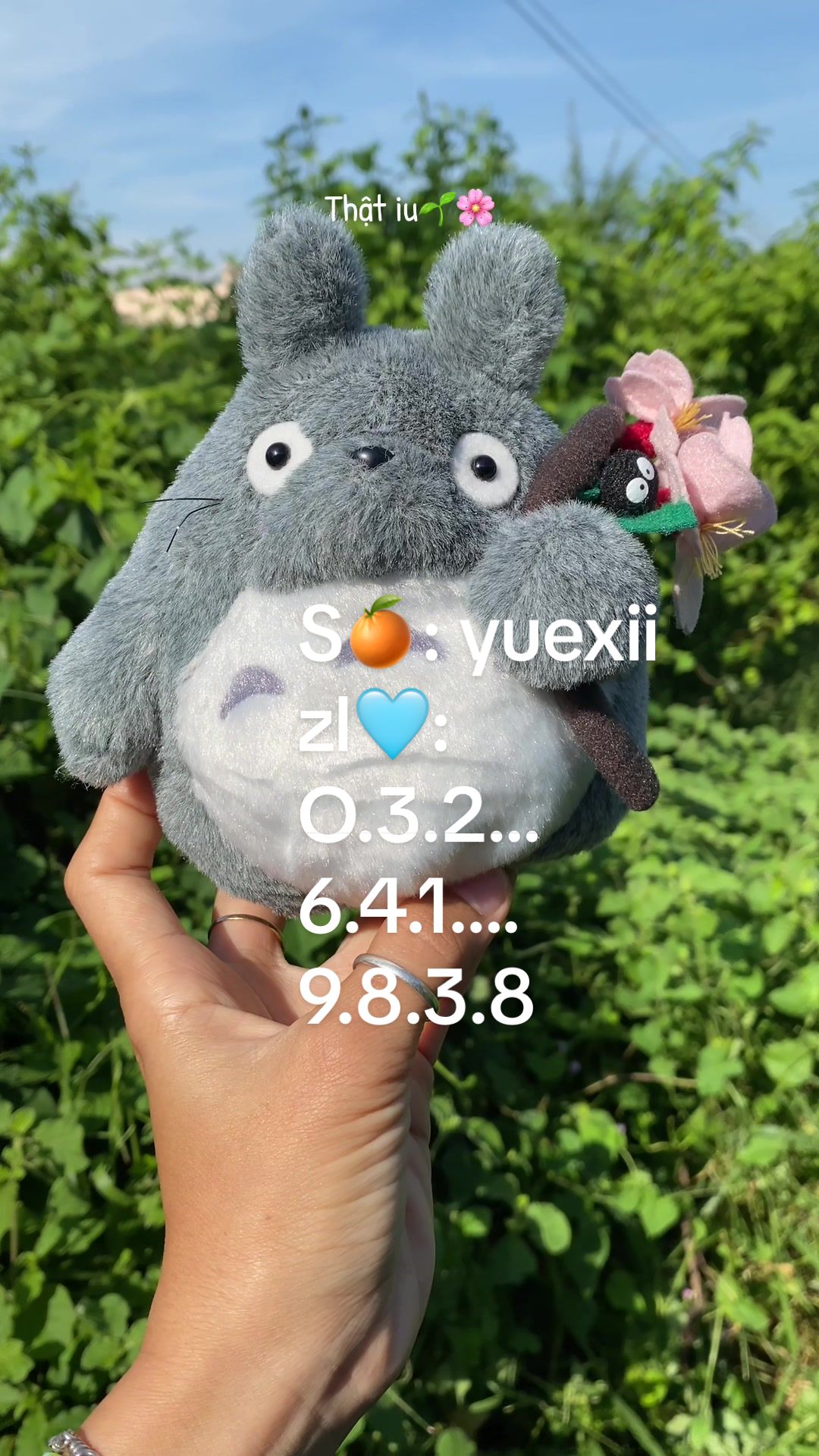 @Yue Xii