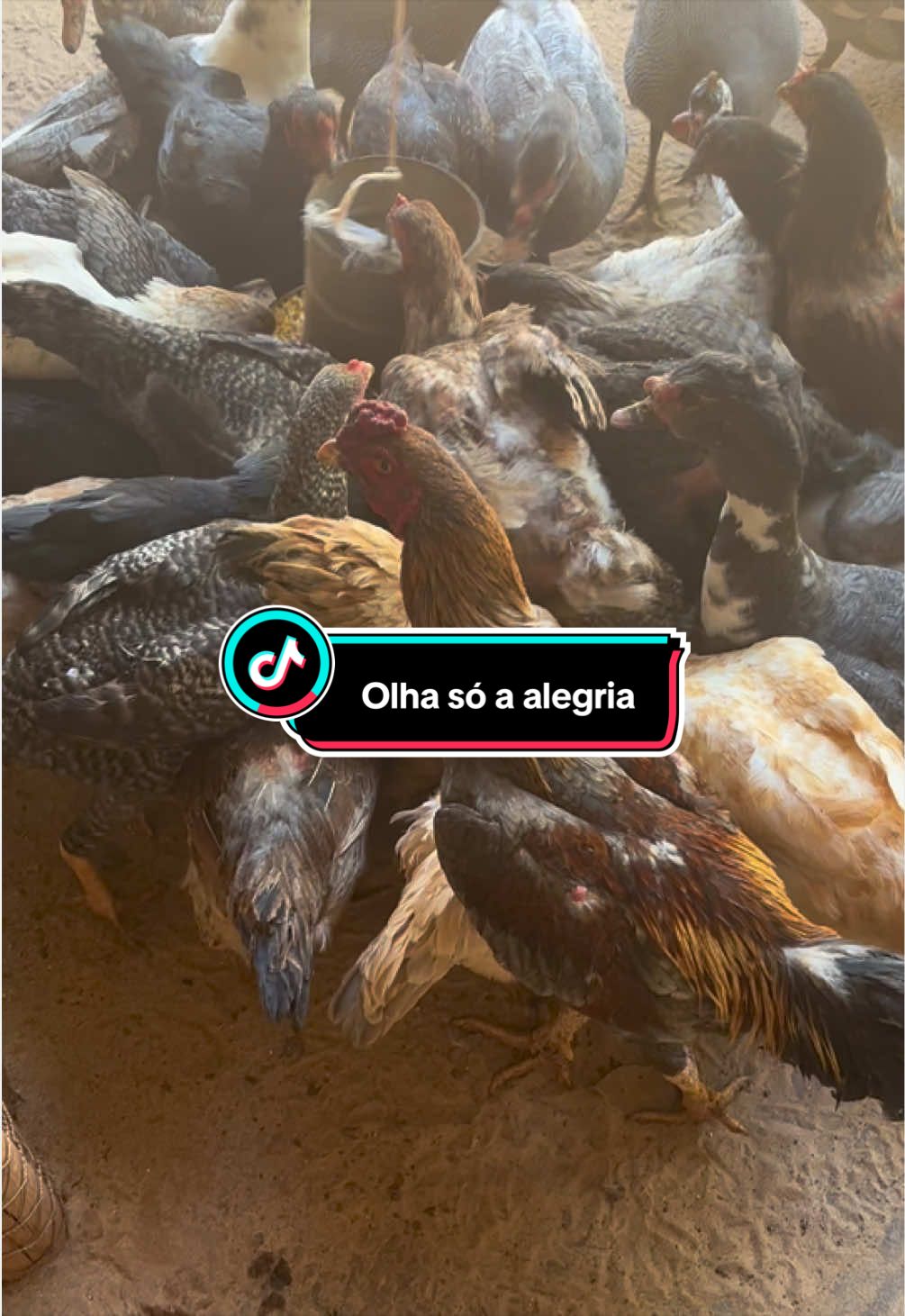 @Antonia Sousa