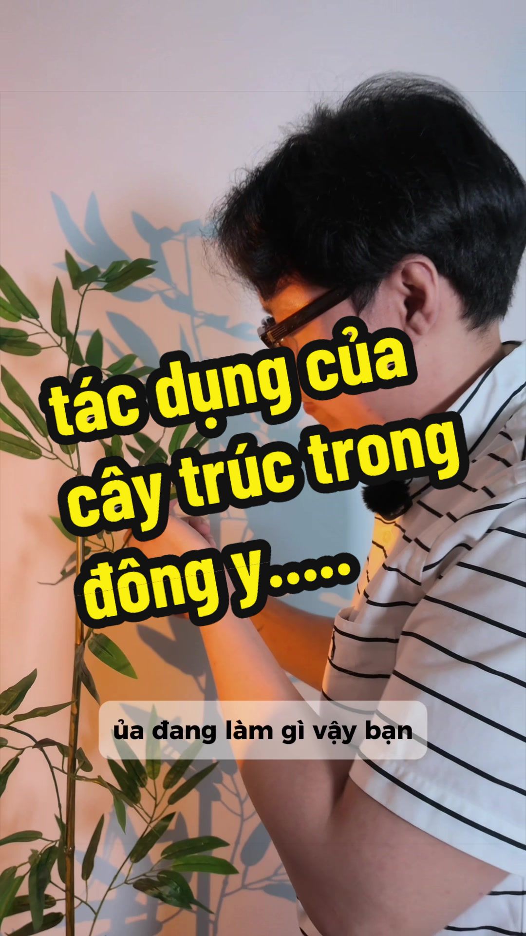 @Ho&agrave; Đ&agrave;