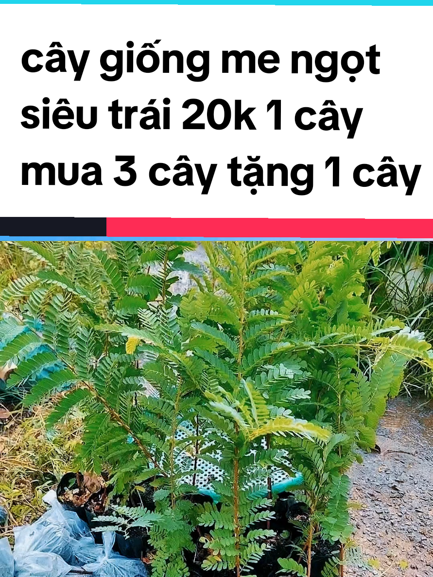 @@1Huyền Nguyễn