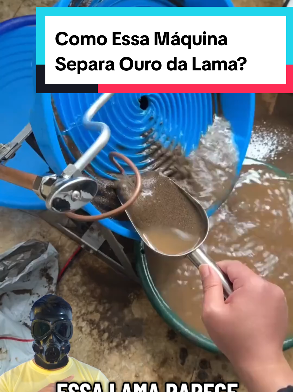 @Mundo da Curiosidades