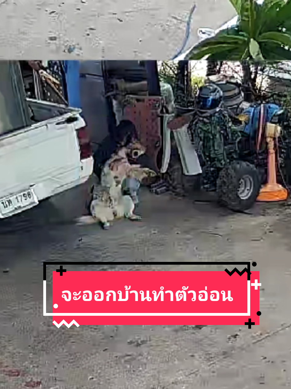 @หลิวหลิว แม่พี่ธอร์