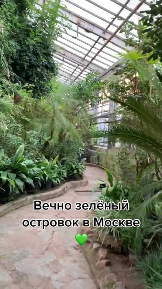 @Оля🌚