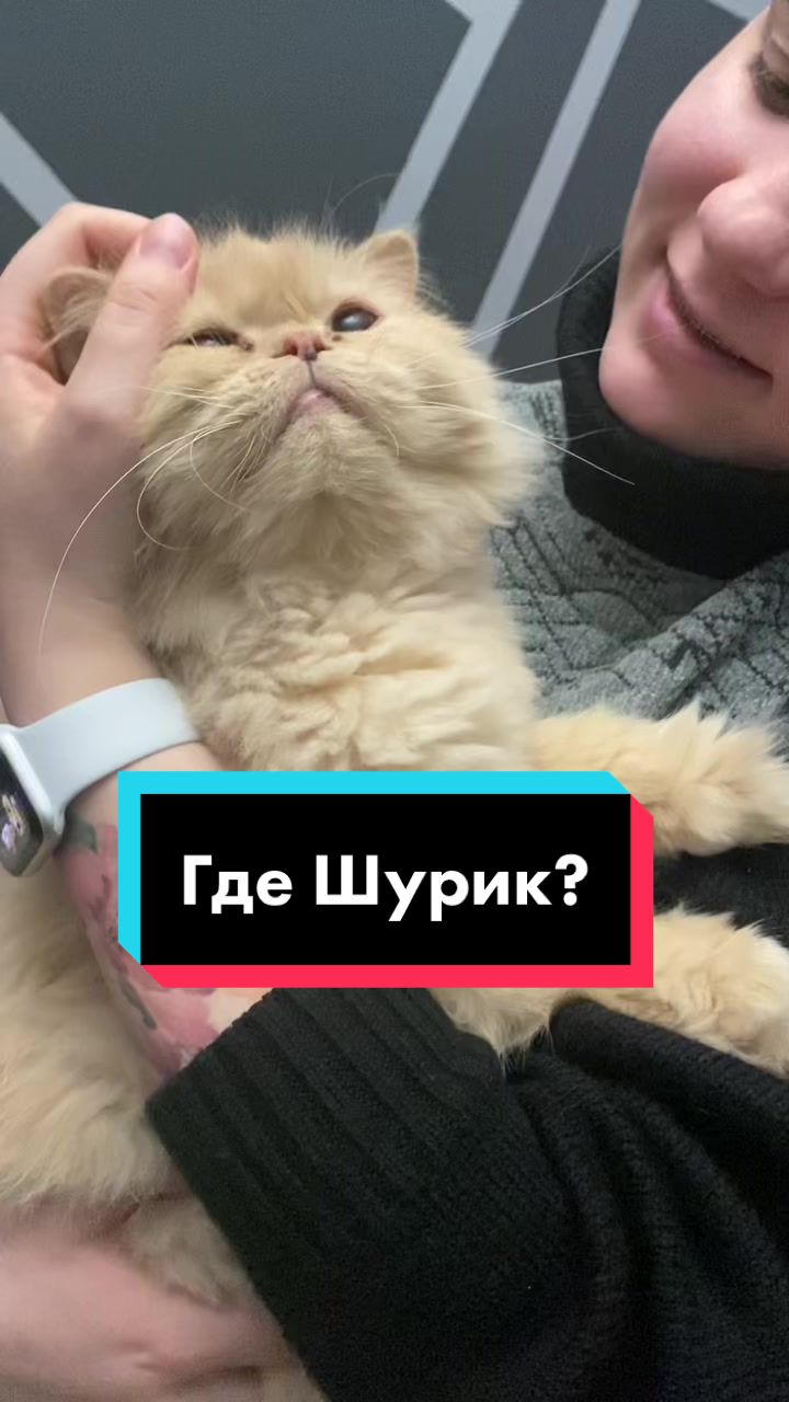 @Kristina