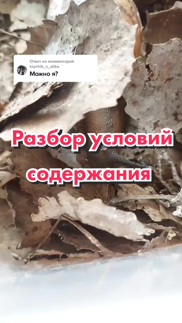 @🐌Яся Ясень🐌