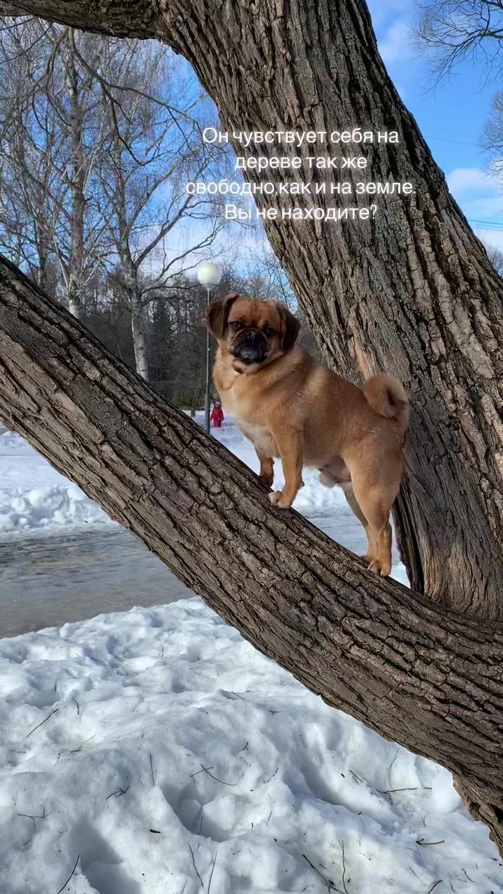 @Абу Саныч и Холли Ольговна