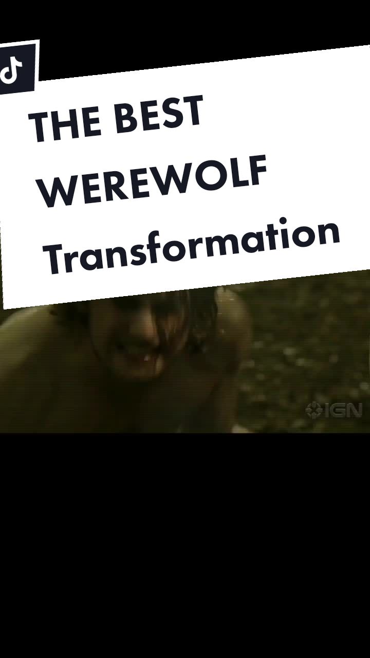 @Terrorconnection