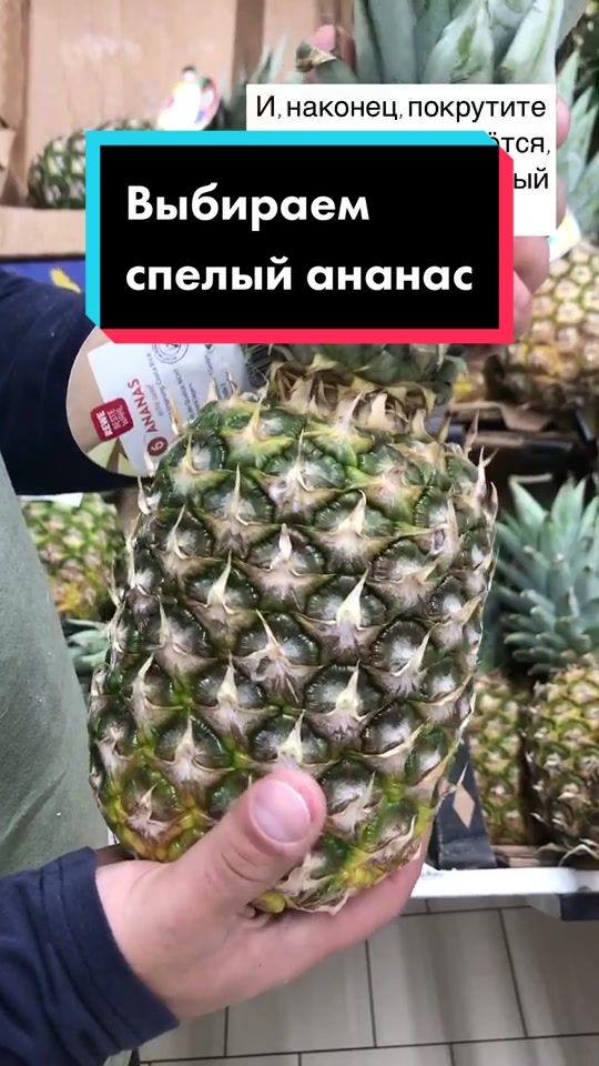@Разрушительница мифов😎