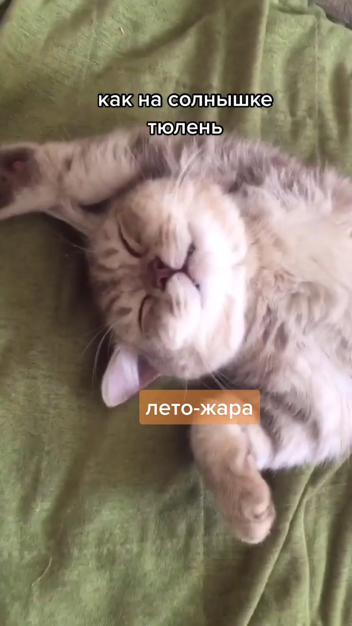 @LIUTIK