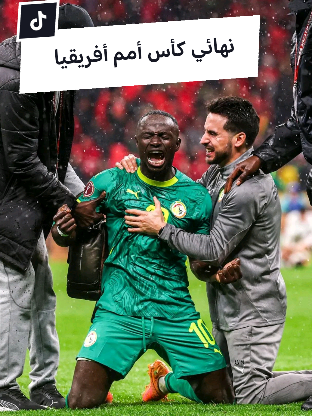 @ضياء بن عارف