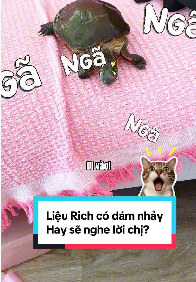 @Nh&agrave; c&oacute; r&ugrave;a v&agrave; ch&oacute;