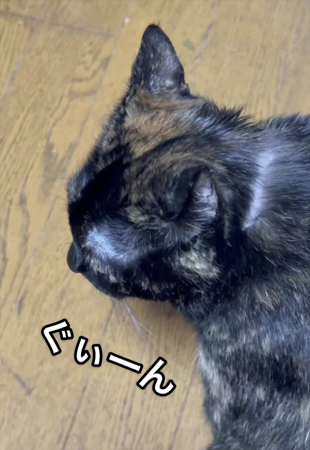 @聴々物語PROJECT
