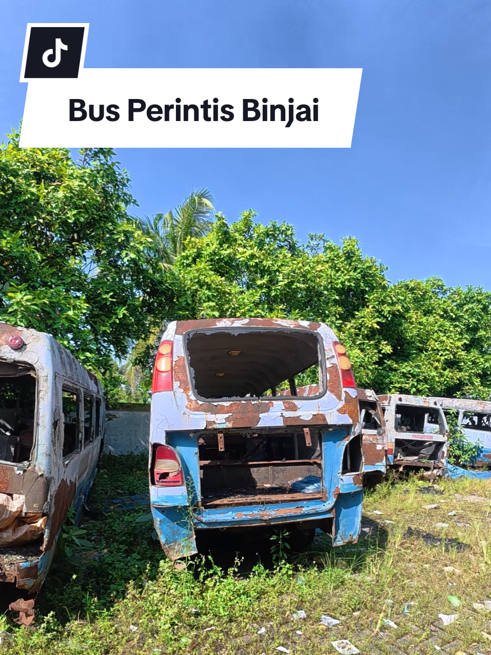 @Binjai1872