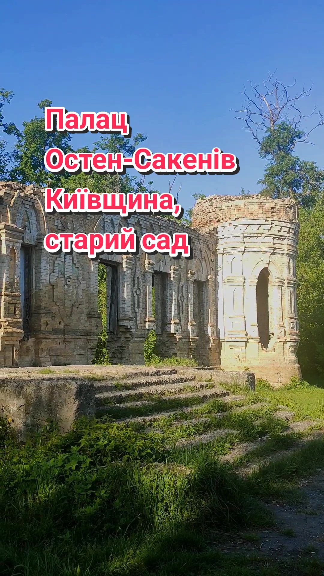@Євгенія Грищенко 220