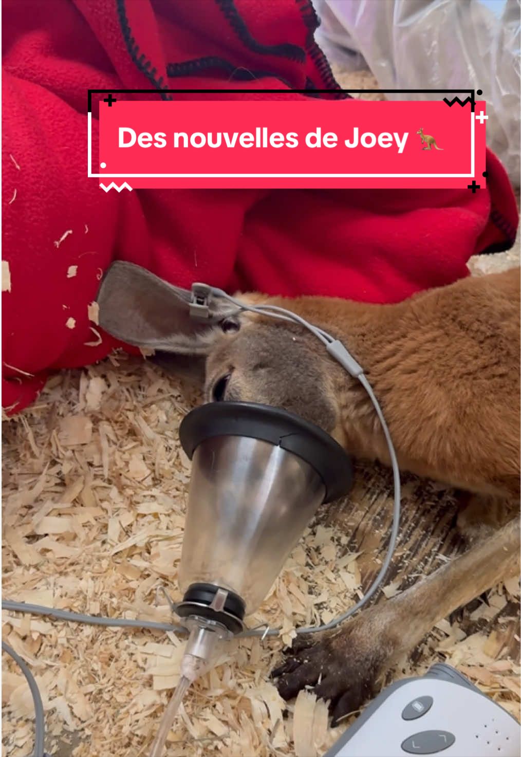 @Zoo de Granby