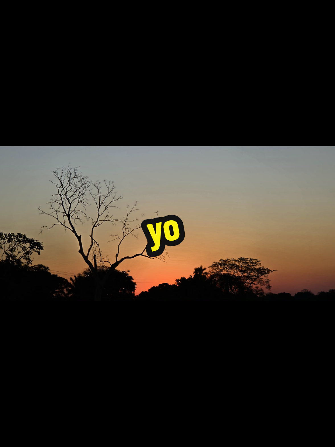 @Claudia Camacho