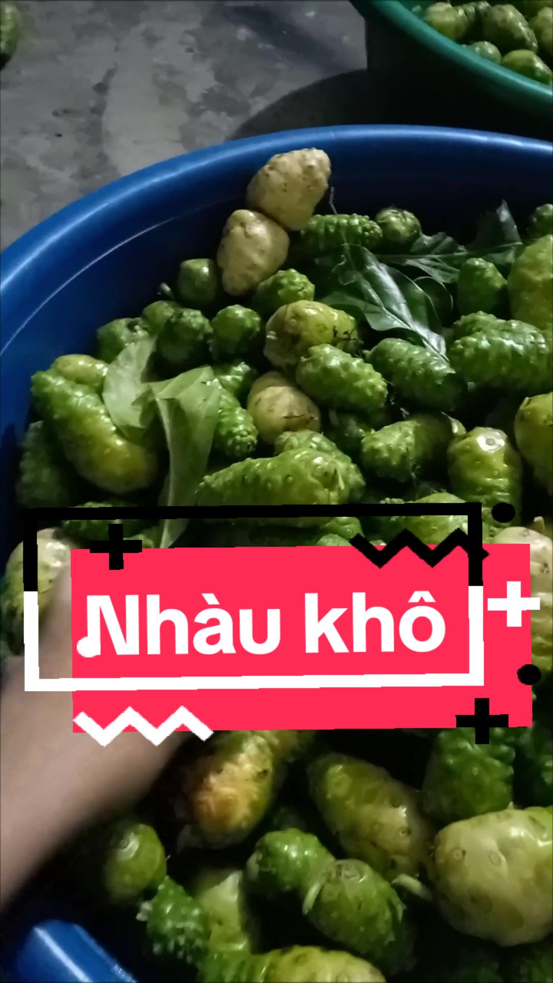 @B&Aacute;CH VỊ PHƯƠNG NAM