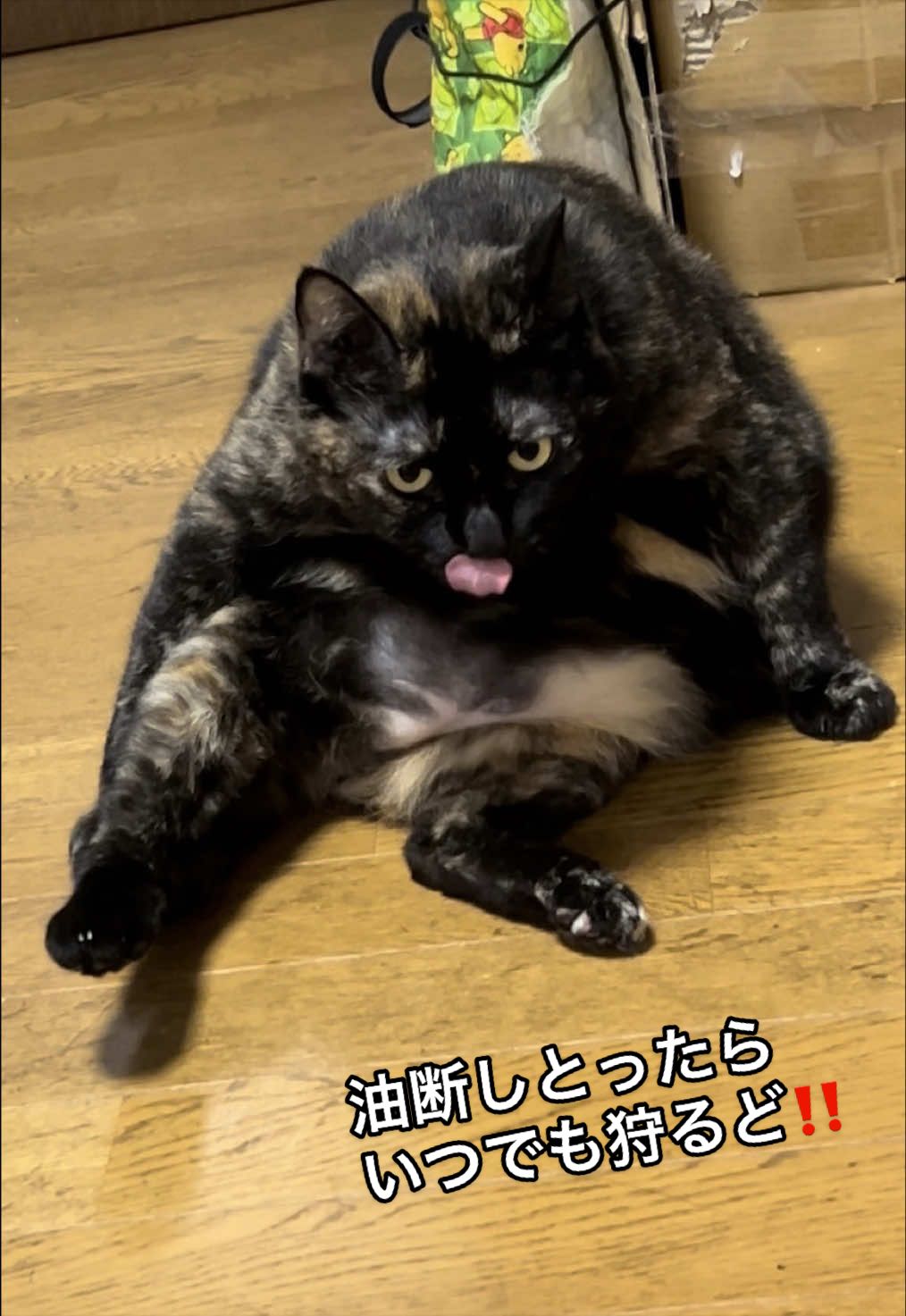 @聴々物語PROJECT