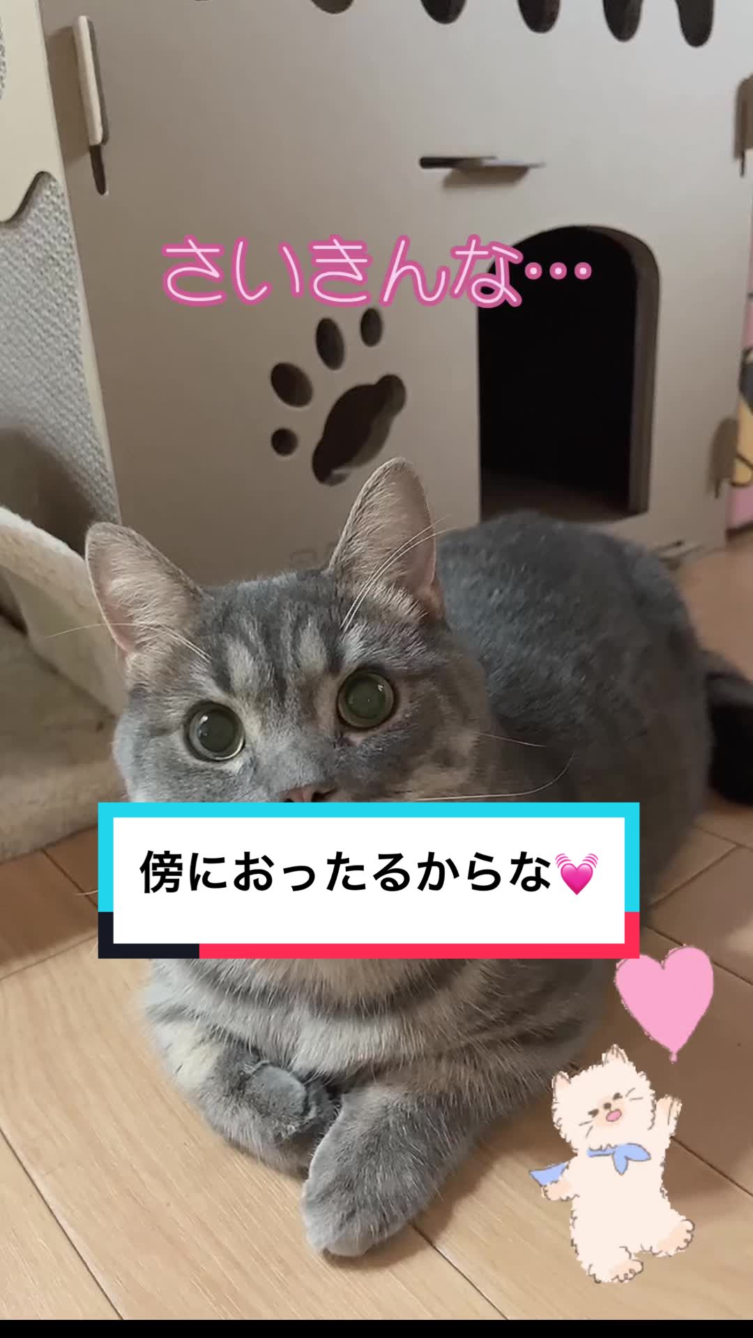 @ふたばꕤ︎︎