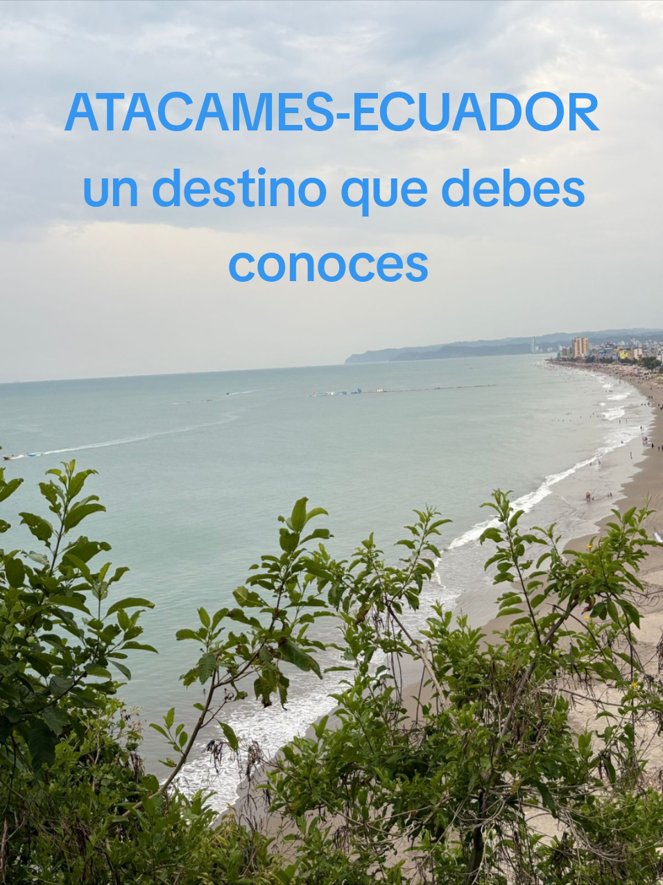 @Anadelrio Oficial