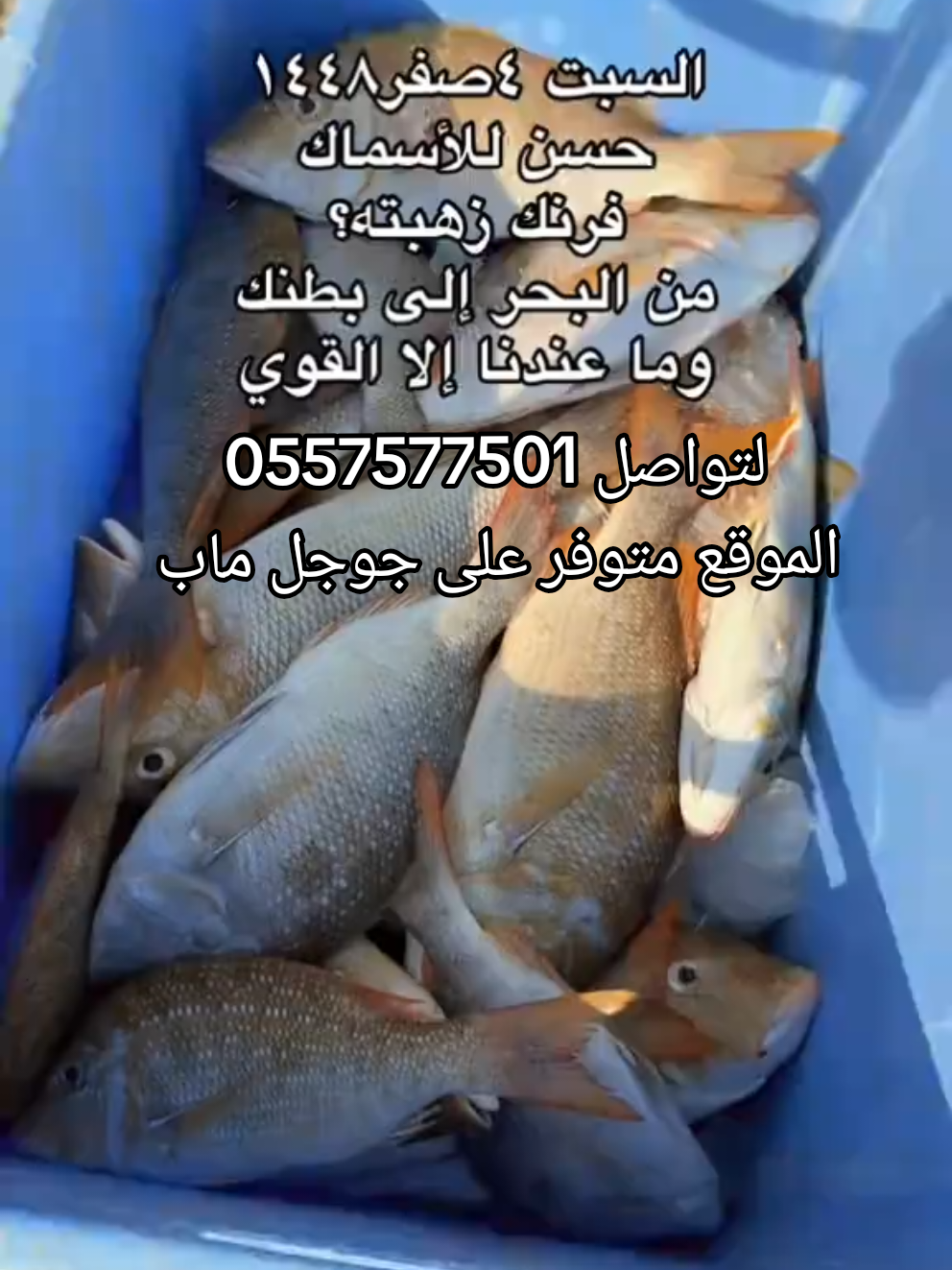 @لاين بحري
