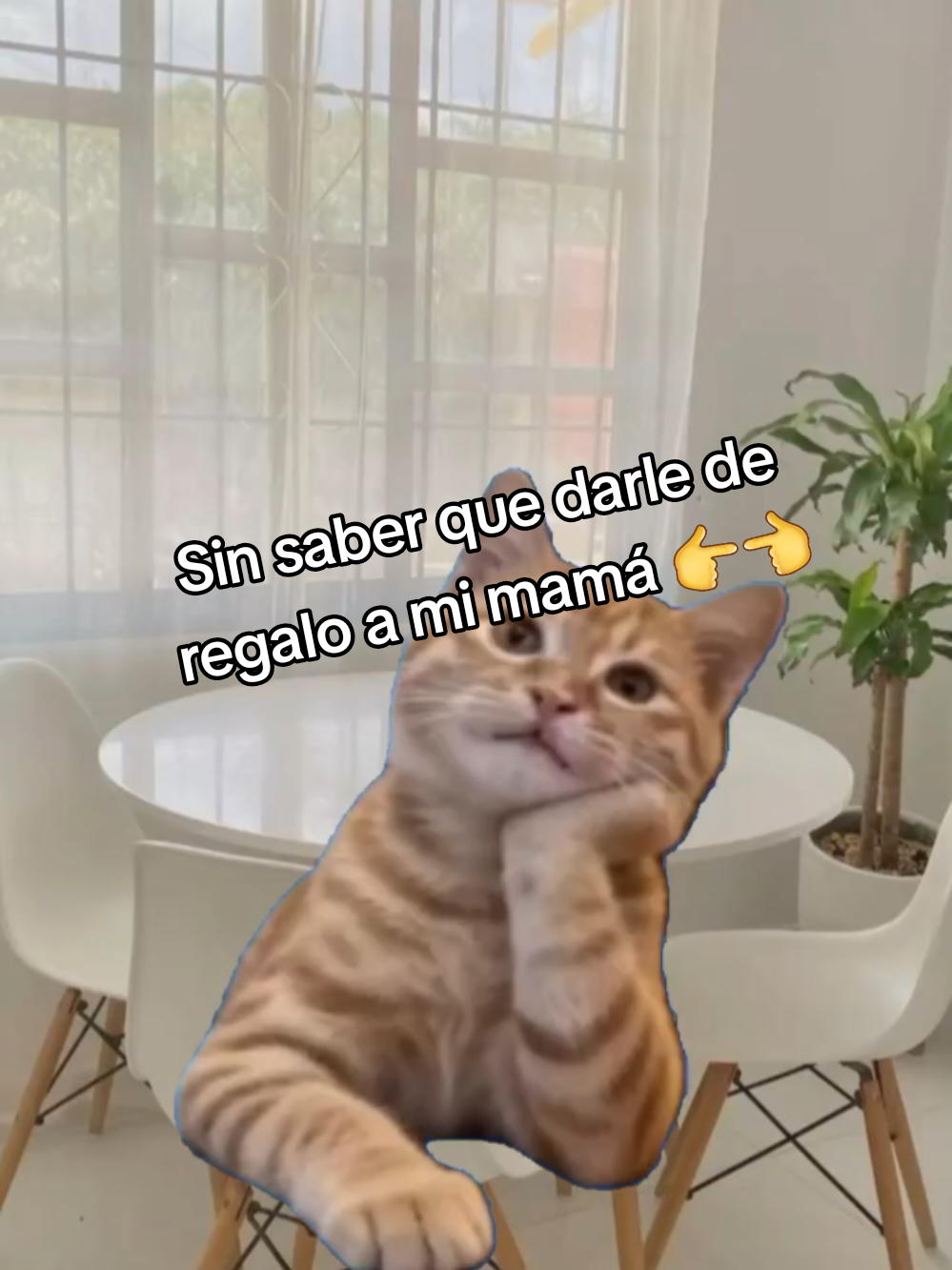 @Cinthya. BR 🦋