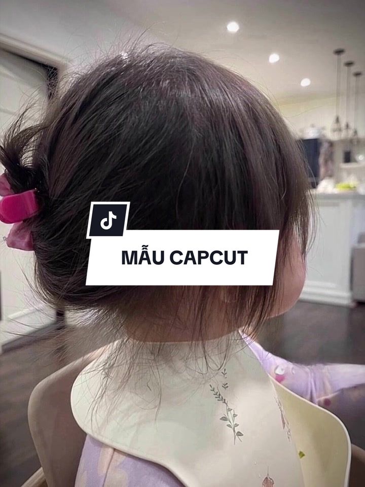 @B&Oacute;C🪳
