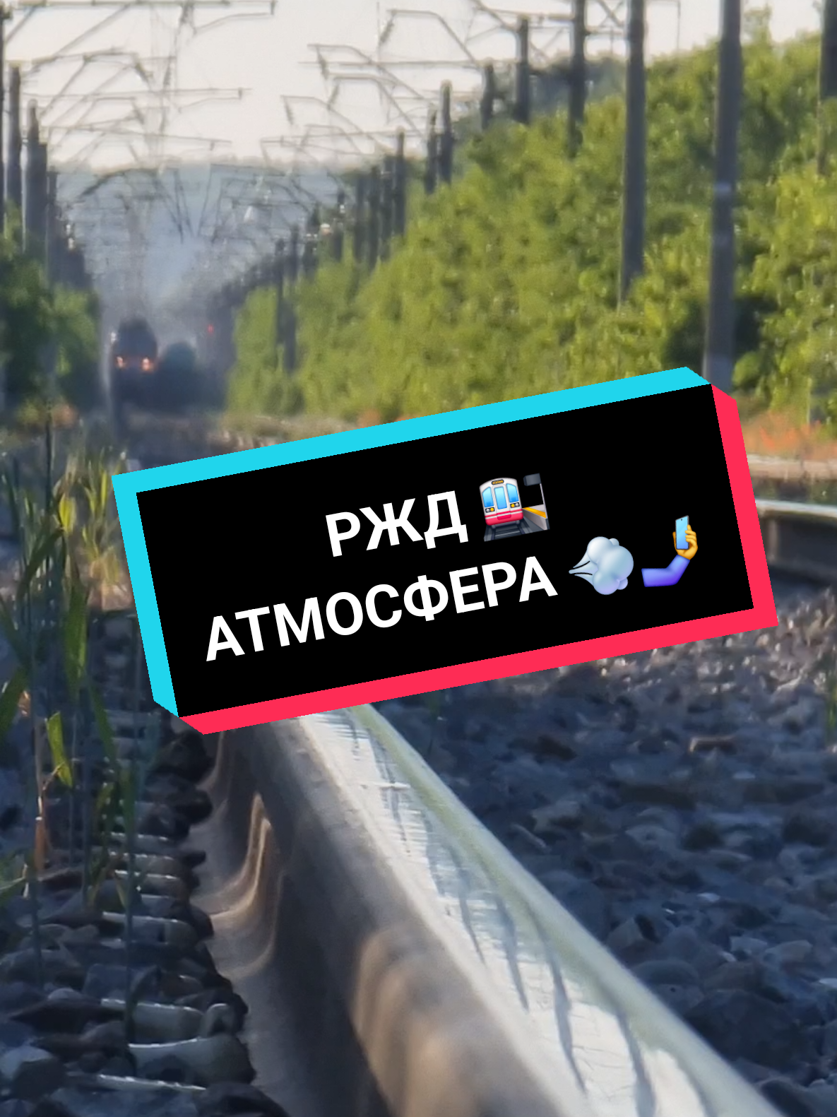 @Дмитрий Шейкин