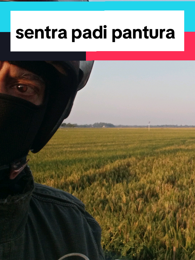 @tukik 🐢