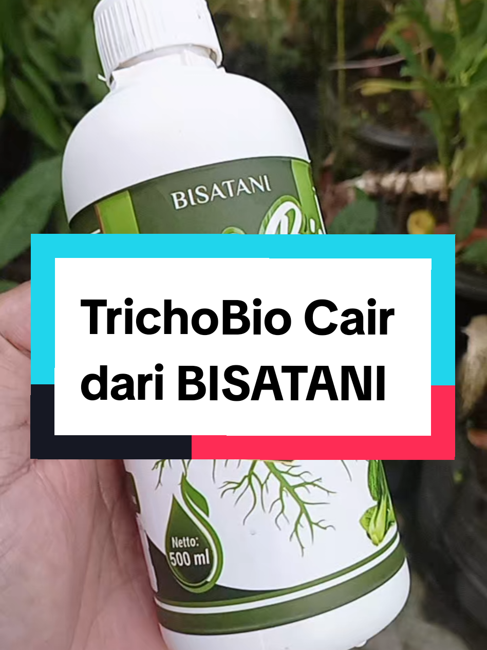 @Berkebun Berkah