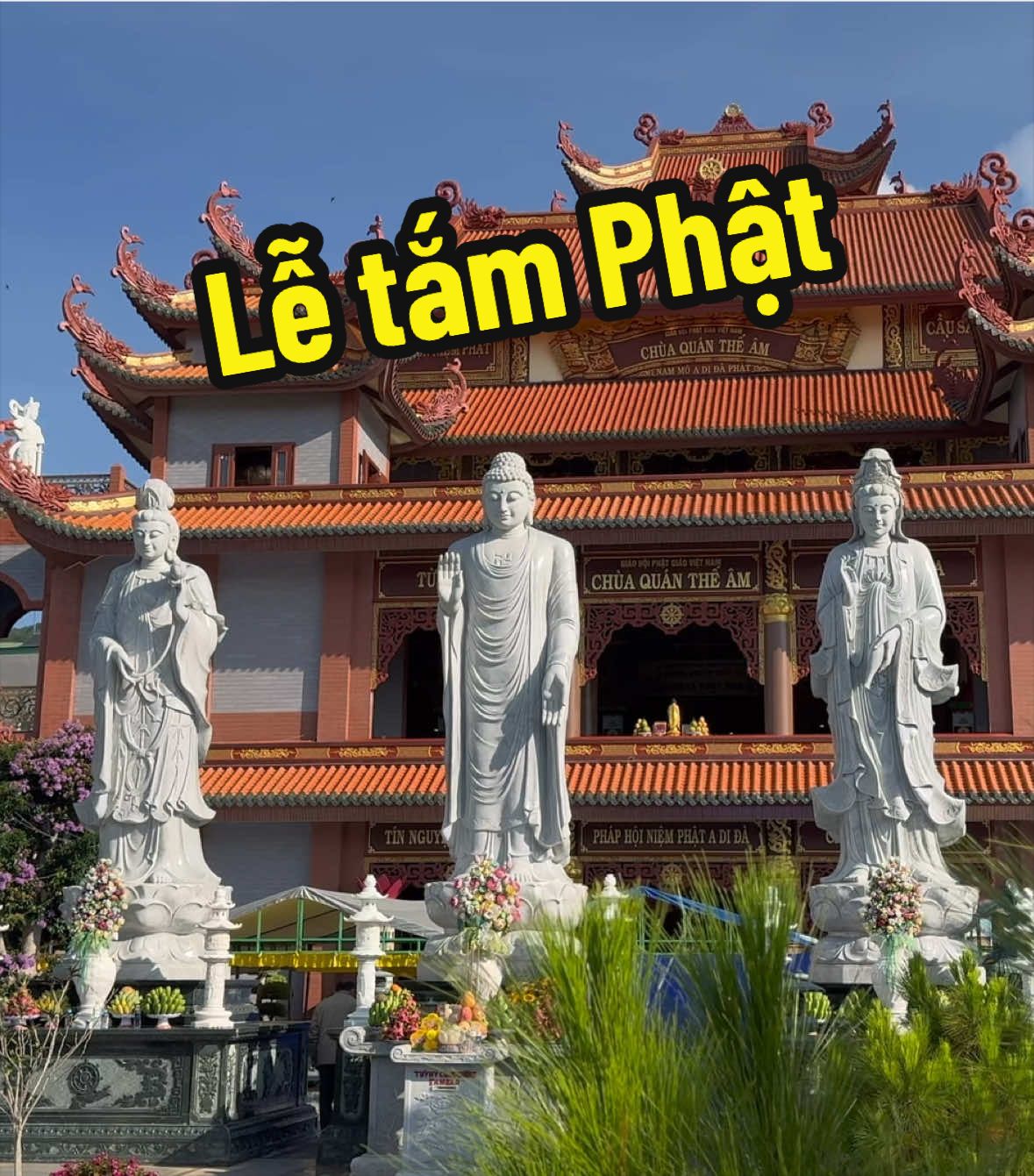 @Hỷ Lạc Du Ký 🇻🇳