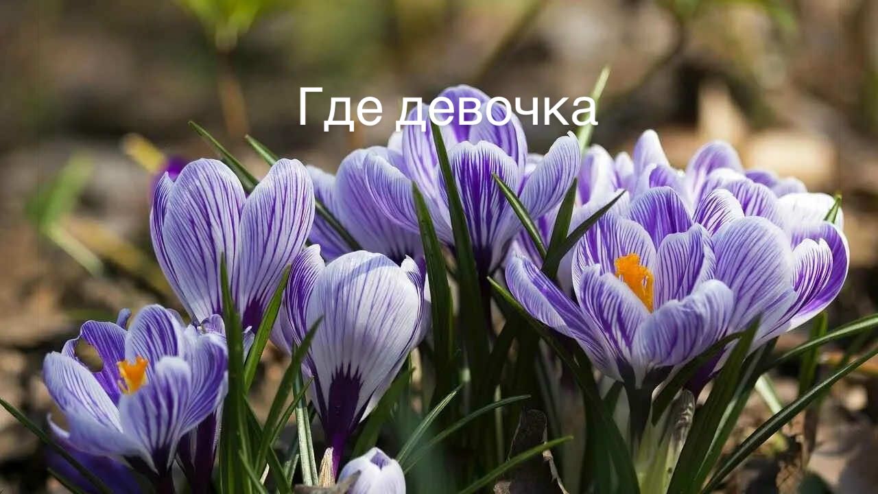 @EPraktika