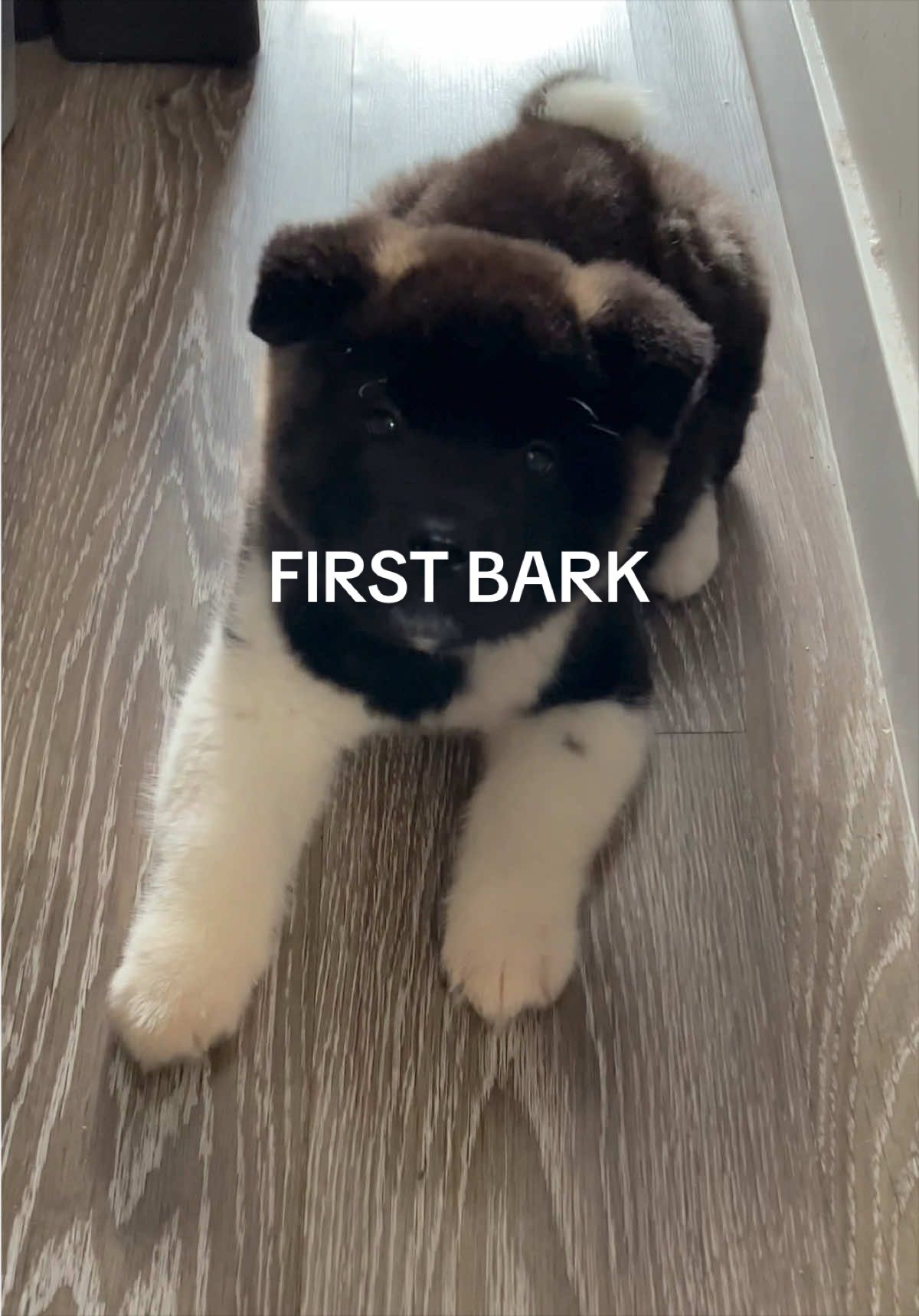 @tiara + winnie