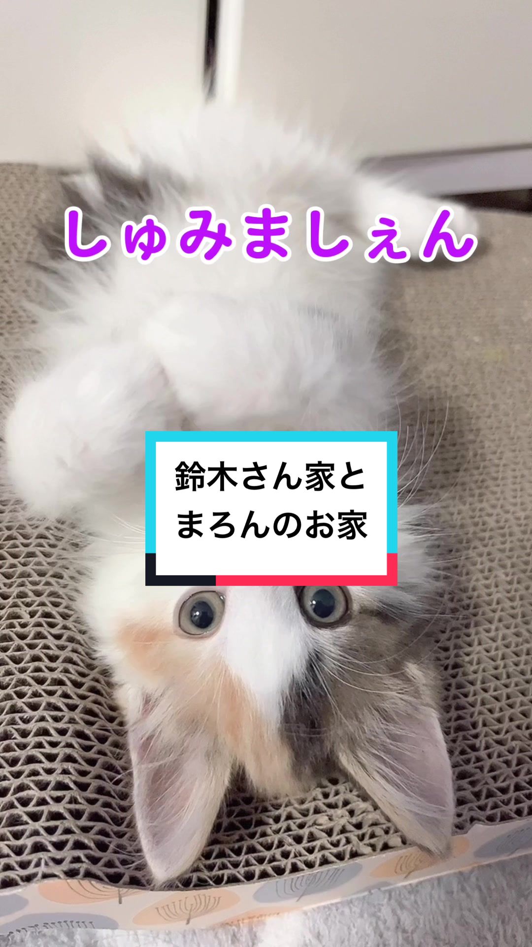 @ふたばꕤ︎︎