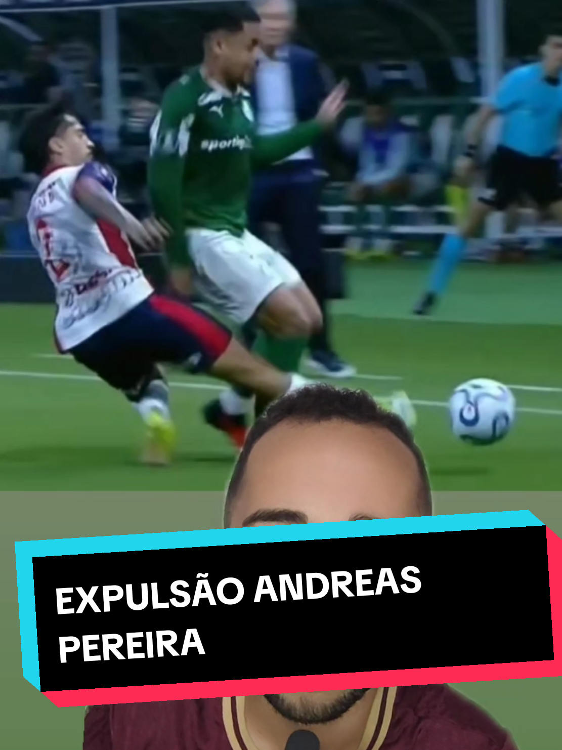 @analistaleigo