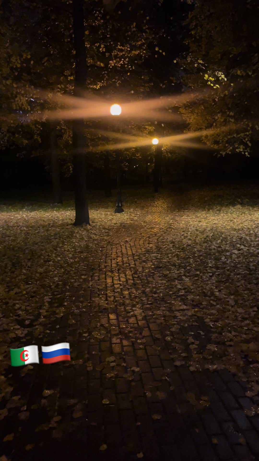 @КРиМО🇩🇿 🇷🇺