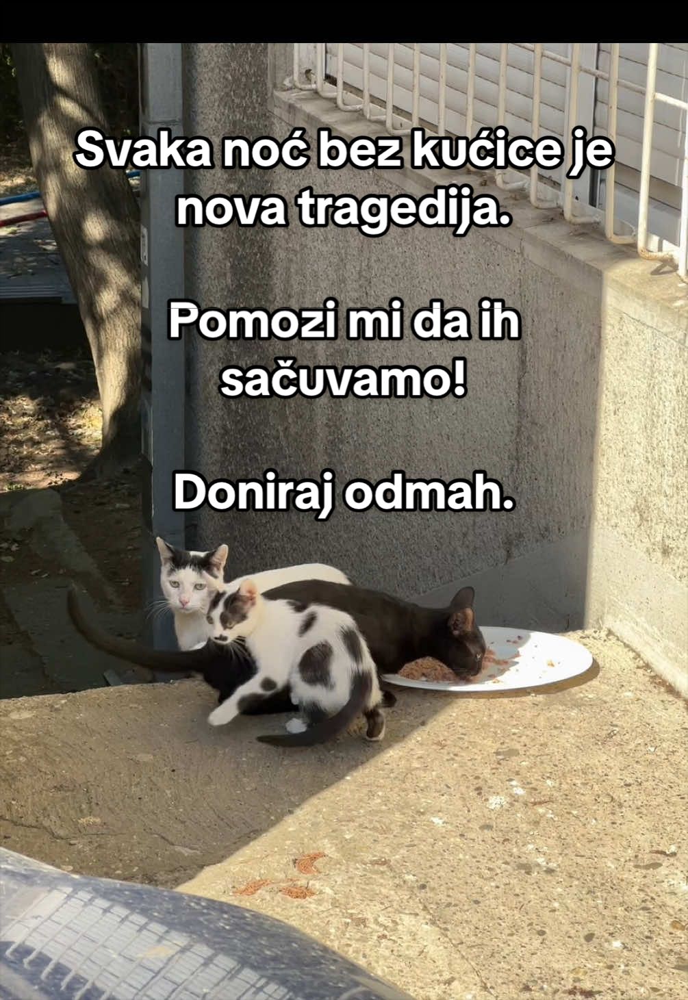 @cosanostrapurr