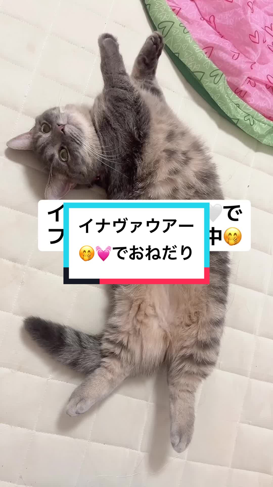 @ふたばꕤ︎︎