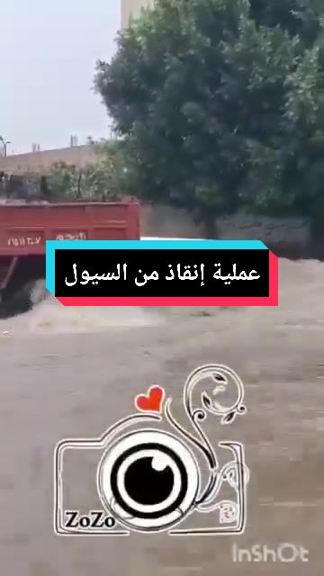 @صيدلانيات