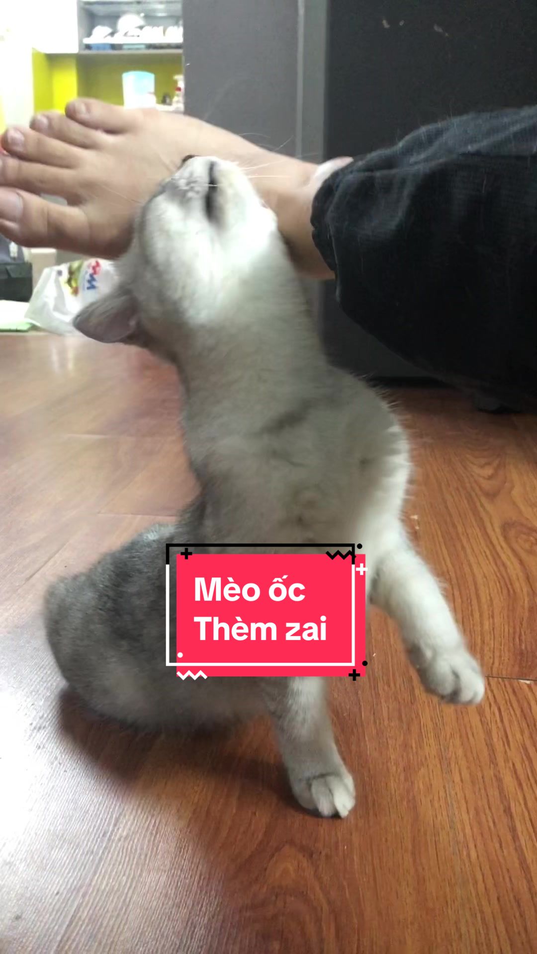 @Ốc V&agrave; Con